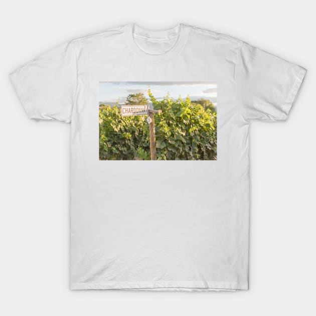 Chardonnay Signpost and Grapevines in Summer T-Shirt by Amy-K-Mitchell